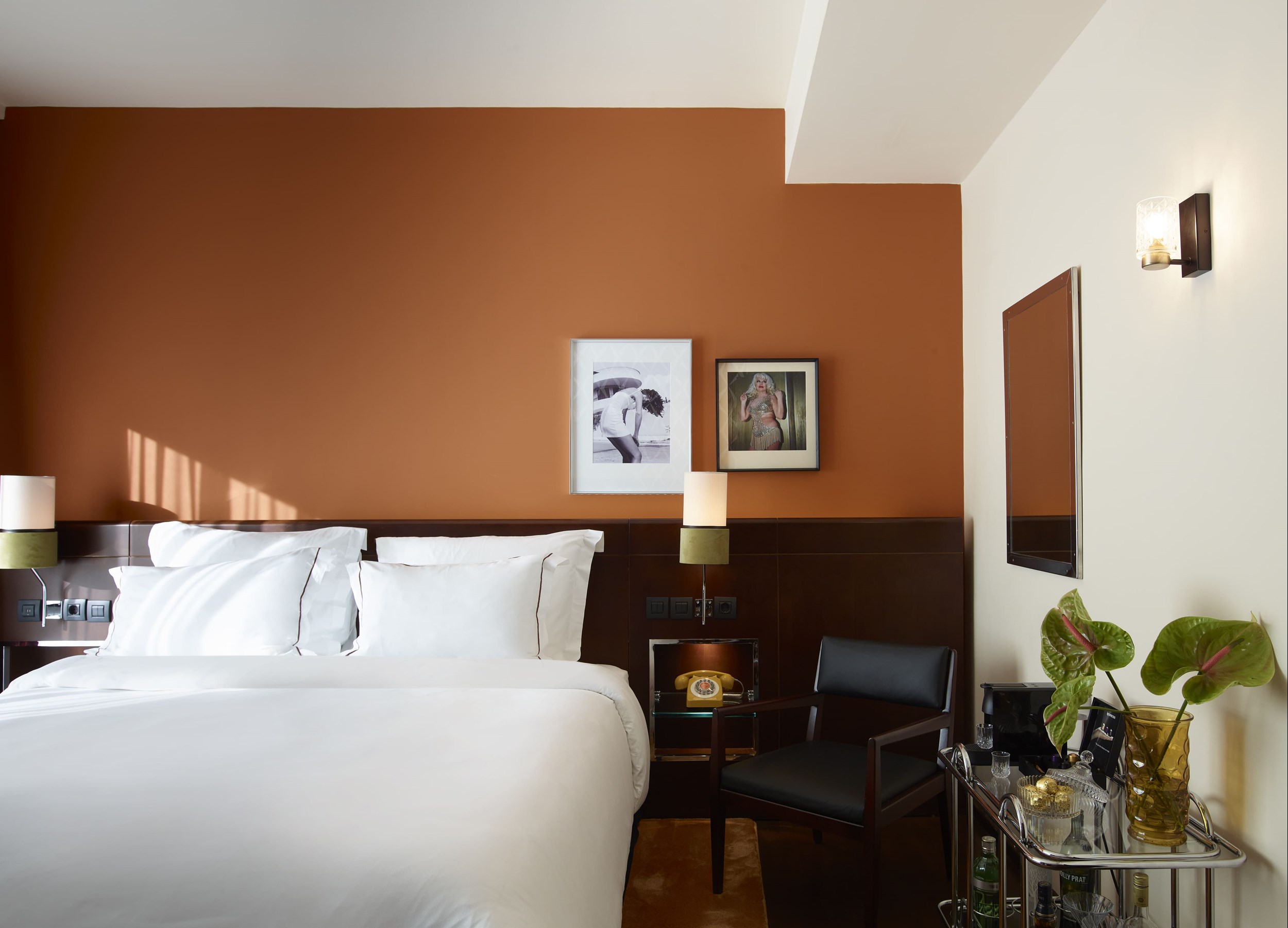 brown-acropol-deluce-room-decor-details